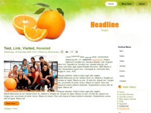 free wordpress theme orange slice